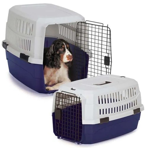 Dog cat animal airline car - dog,