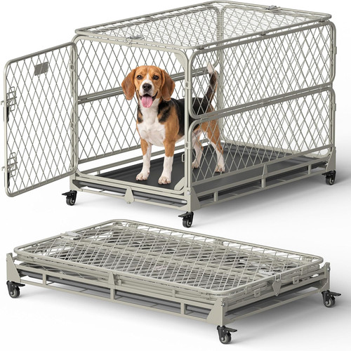 Inch collapsible dog - inch,