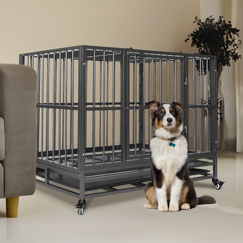 Dog crate heavy - dog,